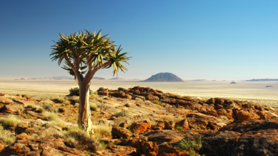 Mit dem Rad durch die Karoo-Halbwüste – sechs neue Touren