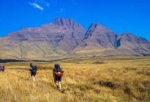 Drakensberge: Südafrika-Safari mal anders